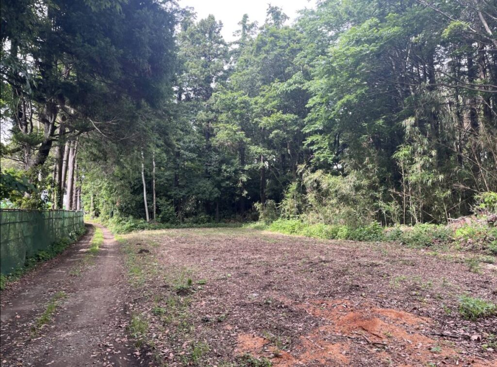 藤沢市 山林 4234㎡